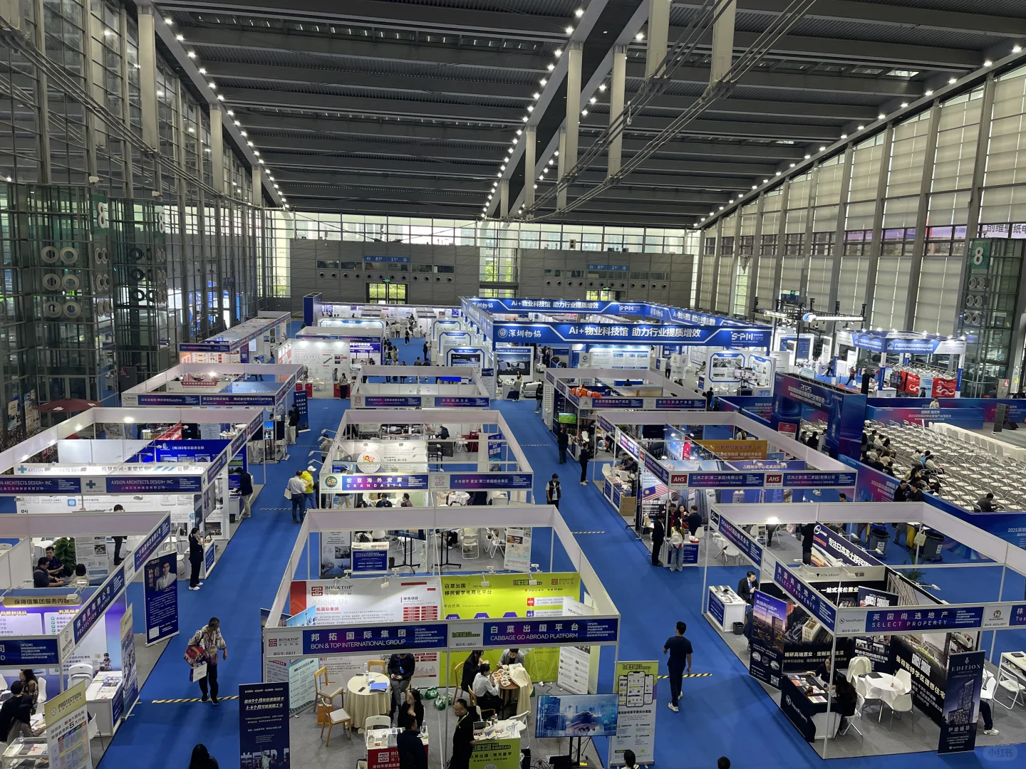 深圳会展中心一日记在美食与科技里撞个满怀