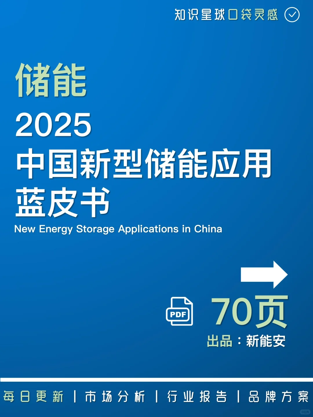 ?储能蓝皮书：2025中国新型储能应用