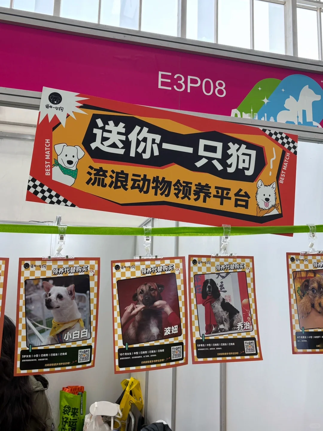 2025京宠展 北京宠物用品展 观展攻略&指南