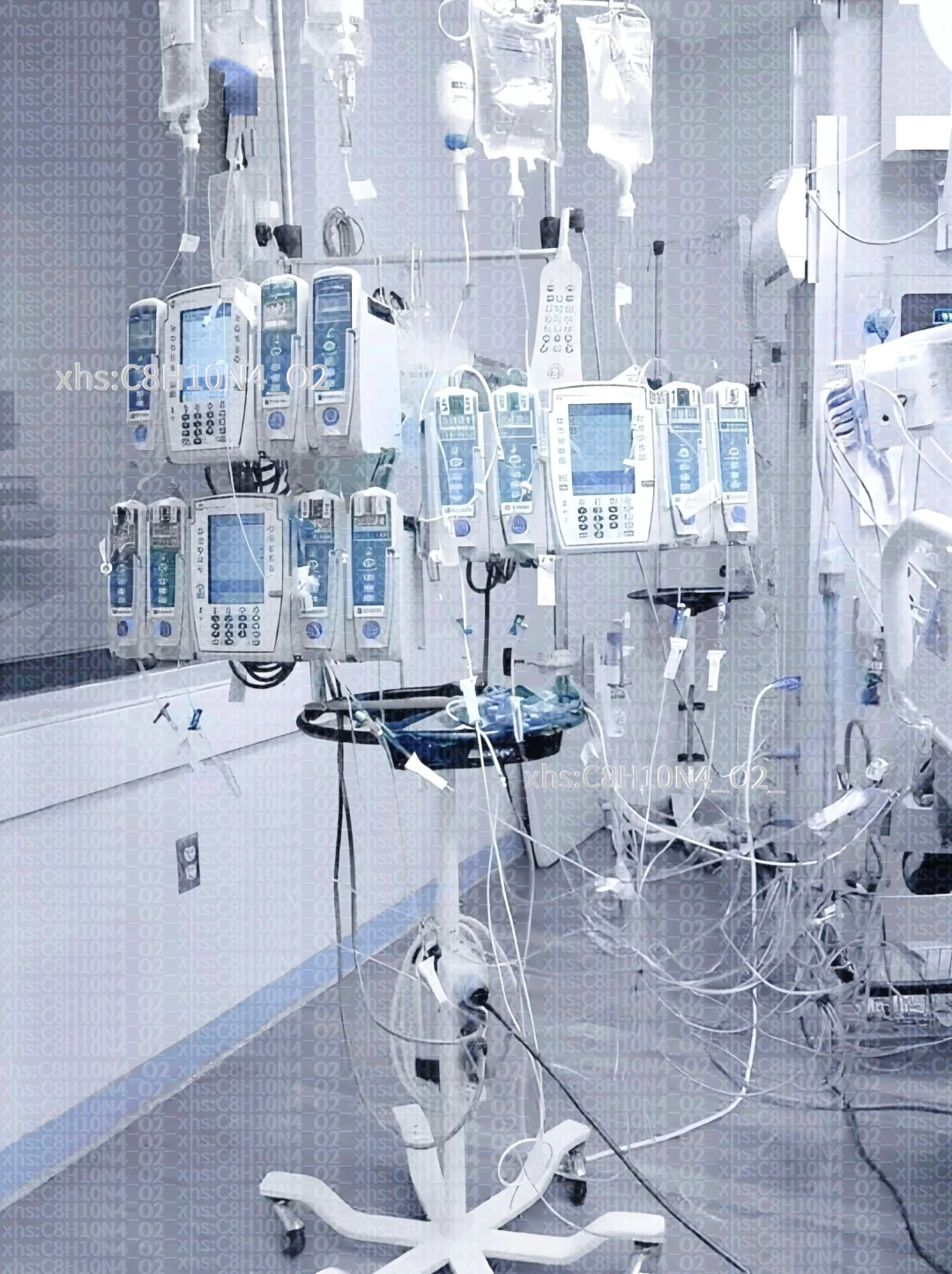 ⊹˚｡*.˚ +樹+ ˚.*｡˚⊹