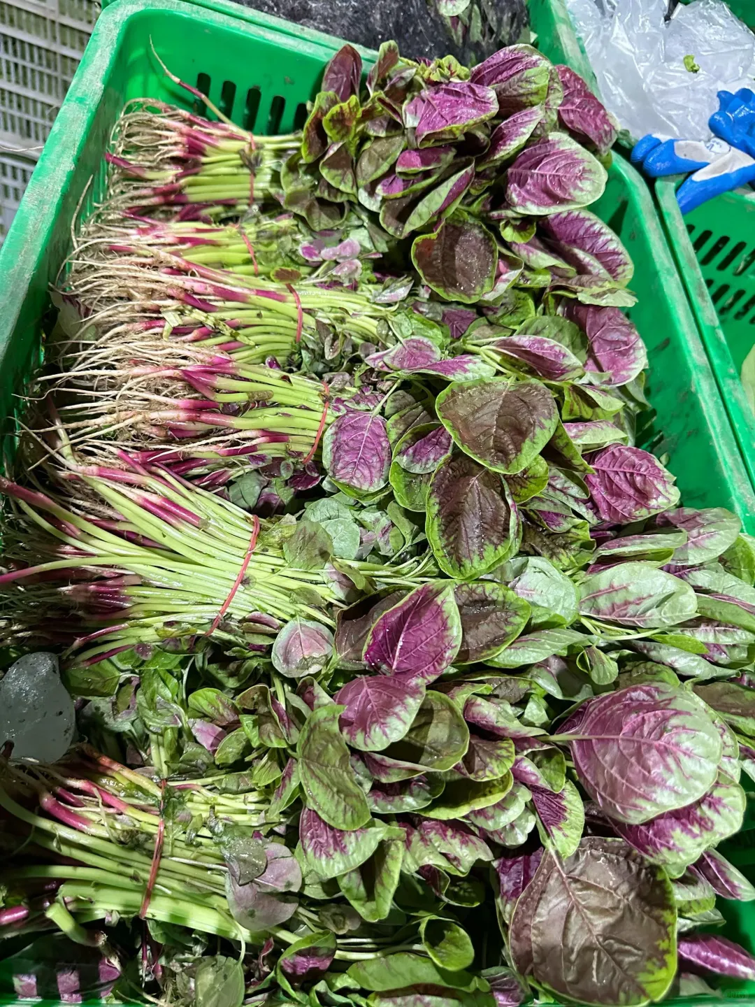 【菜运来丨一站式采购服务平台】