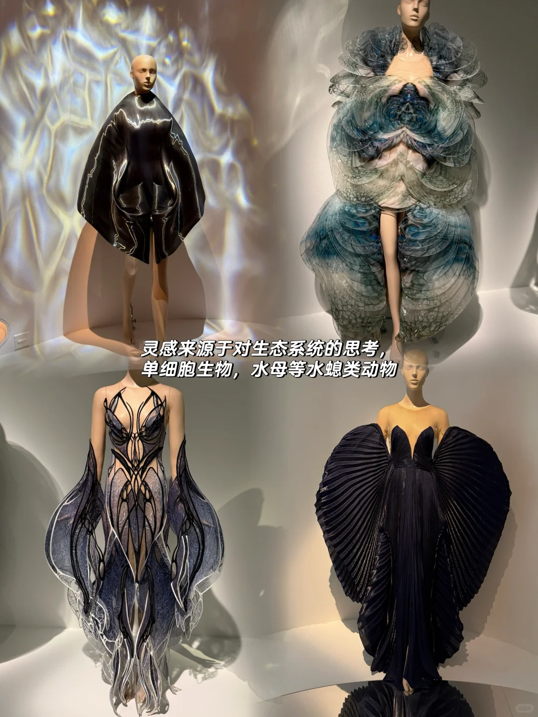 时尚迷圆梦|新加坡IVH时尚展览(第一篇)