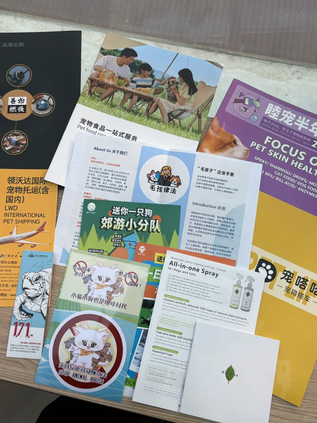 2025京宠展 北京宠物用品展 观展攻略&指南