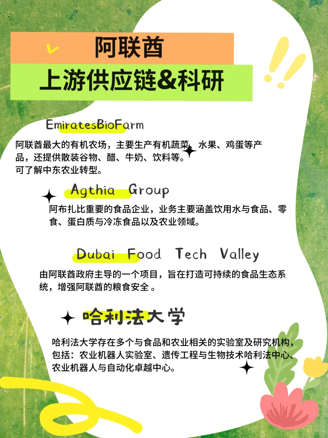 要看展,但不能只看展|迪拜 Gulfood 之旅