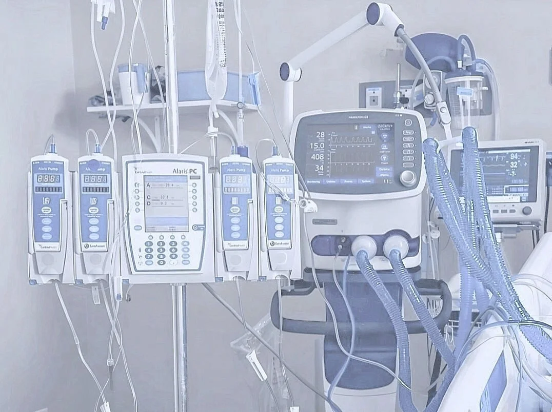 ⊹˚｡*.˚ +樹+ ˚.*｡˚⊹