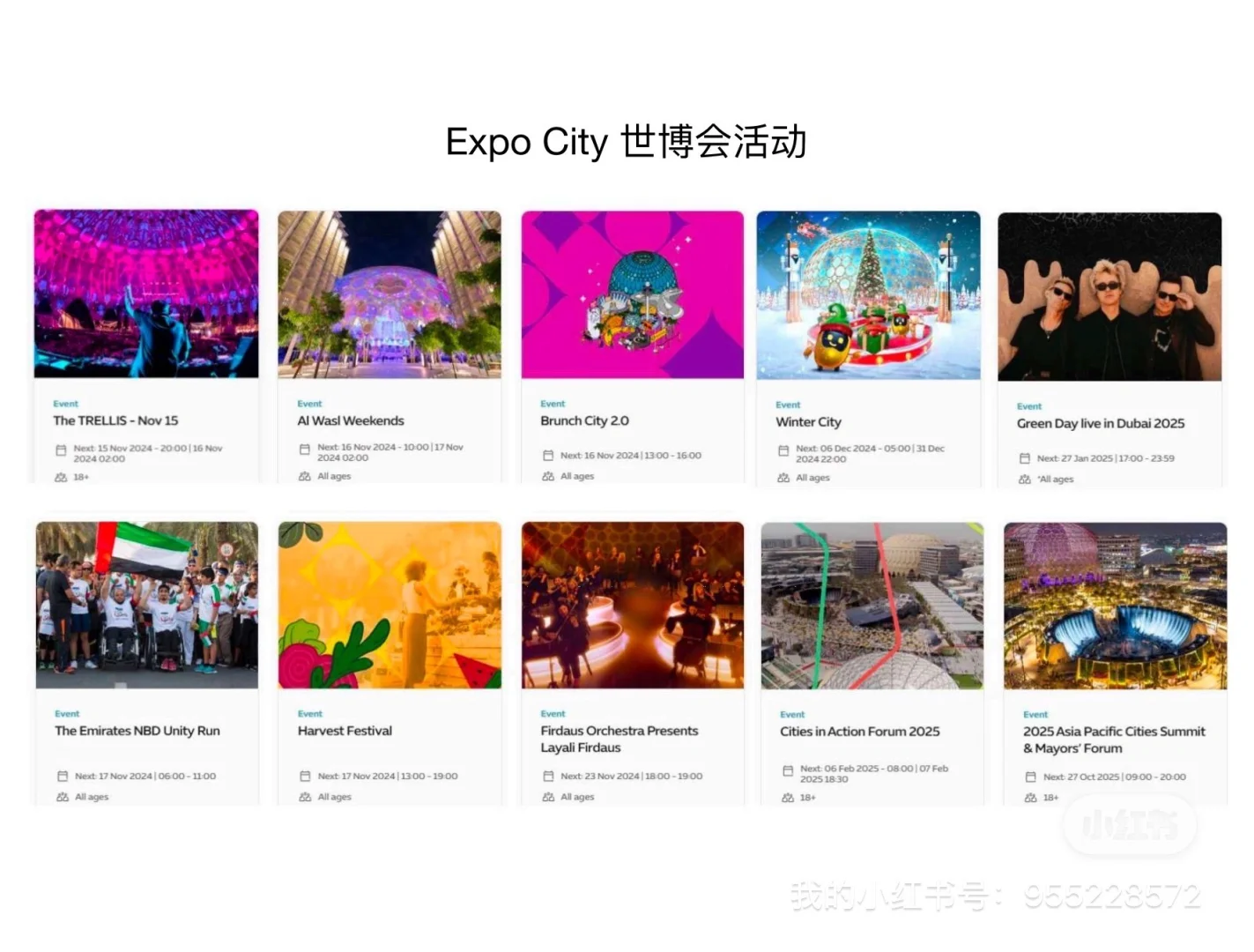 为什么会选择世博区 ???