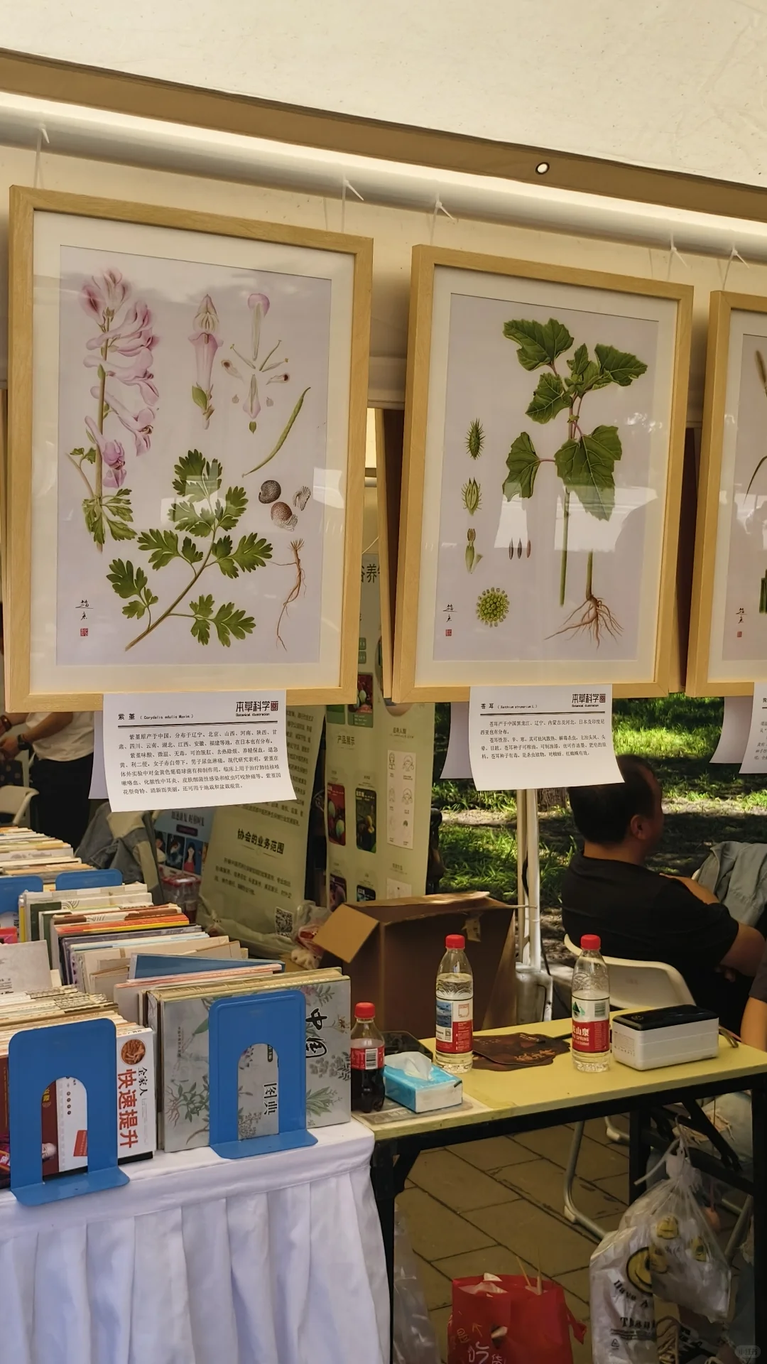 第十七届地坛中医药健康文化节Ⅰ打卡点合集