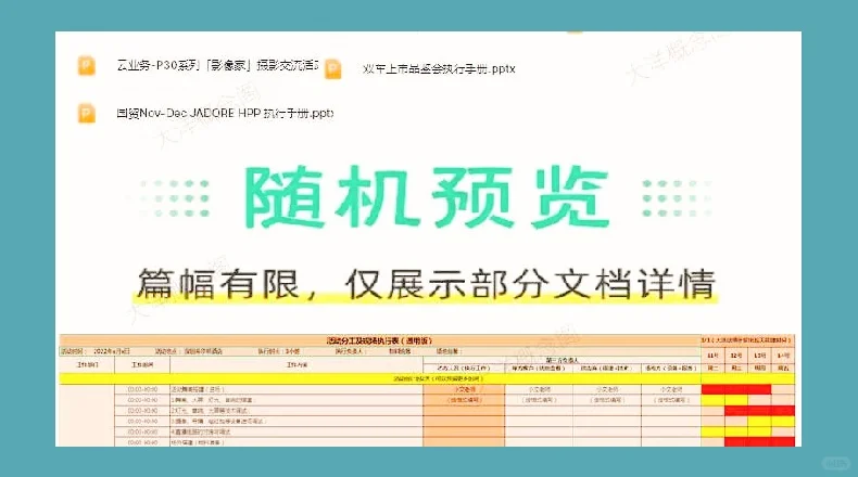 大型线下活动策划执行全套模板