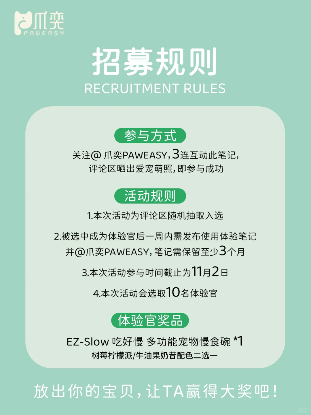 体验官招募|超出“彩”宠物慢食碗免费领✨