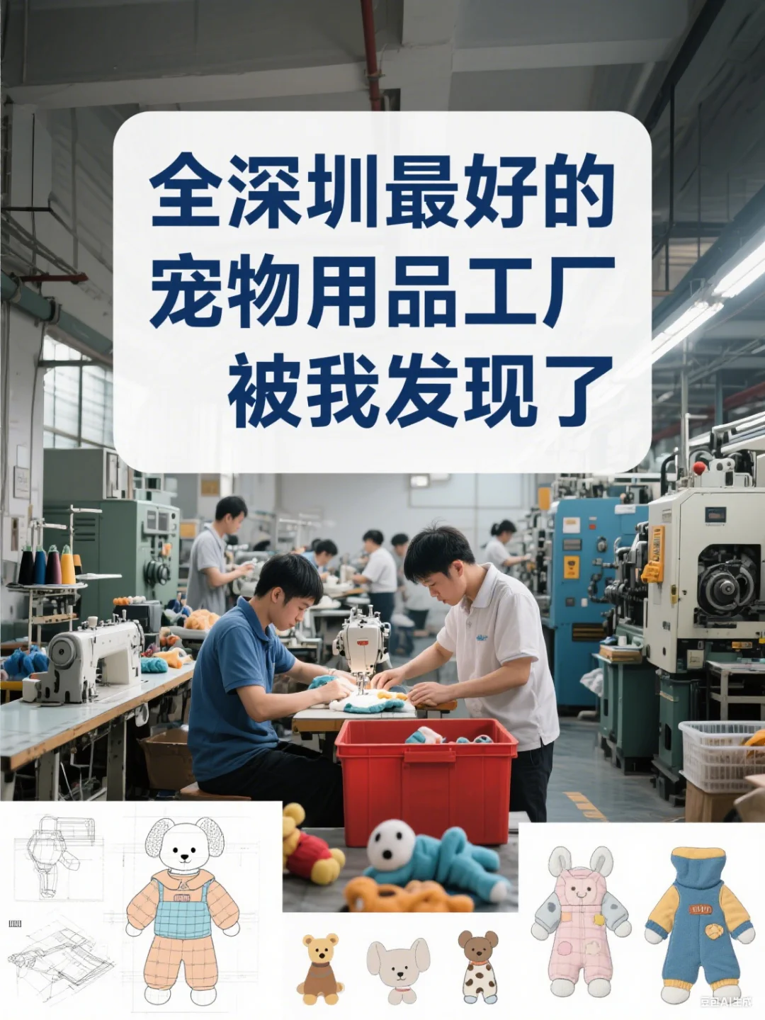 天呐!竟被我挖到全深圳坠好的宠物用品工厂