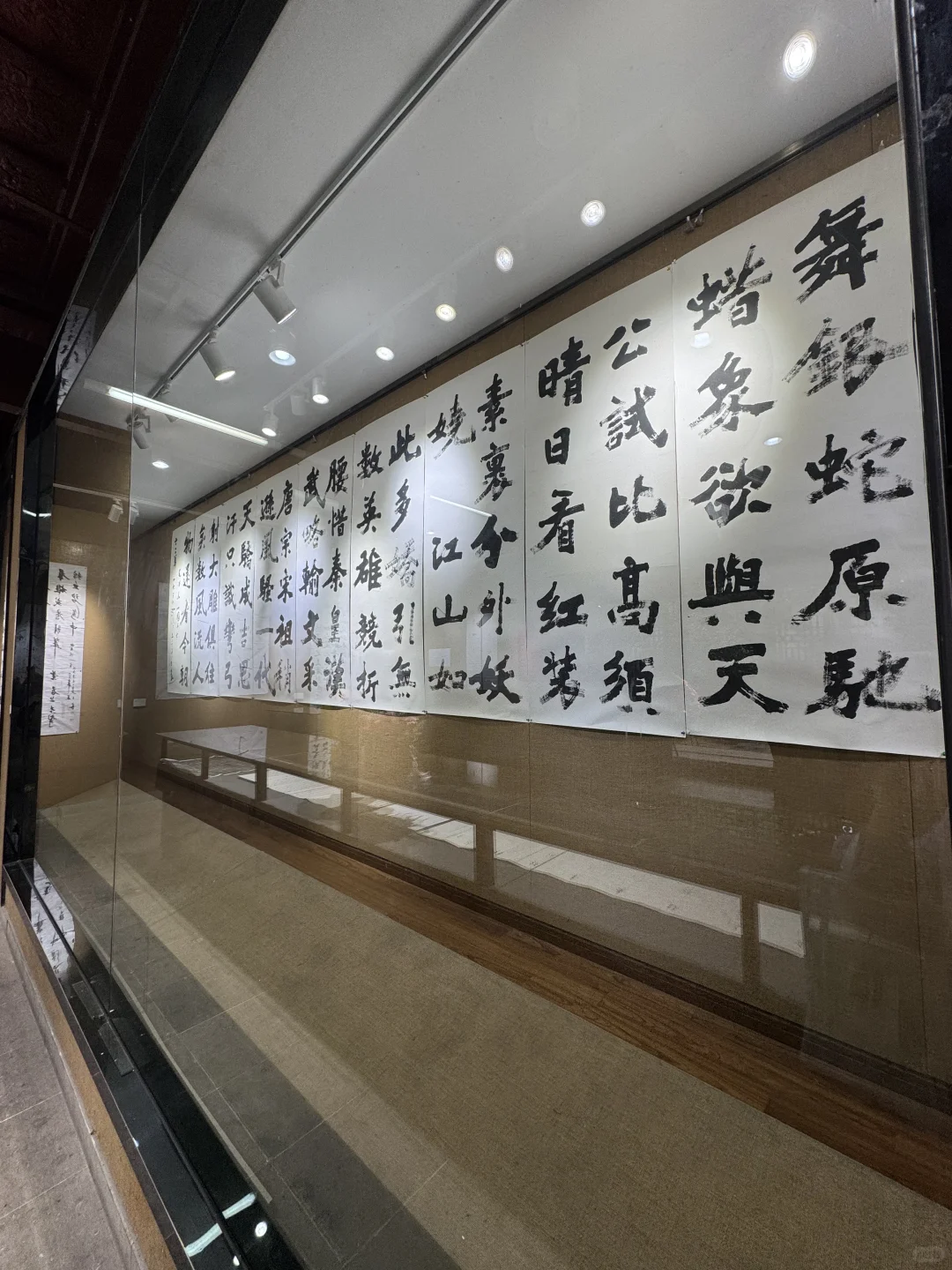是什么样的书法展,让业余的我也看得入迷?