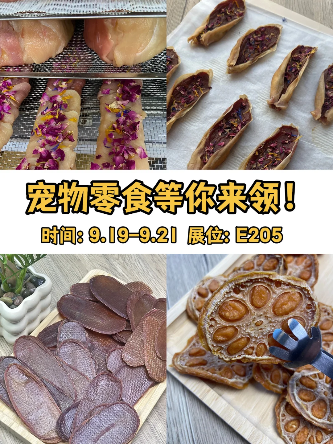 广州世宠会?掉落！法拉家展位更新~