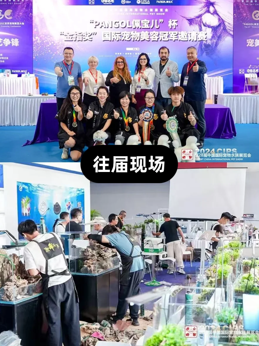 长城宠物展:毛孩子的梦想世界见面?