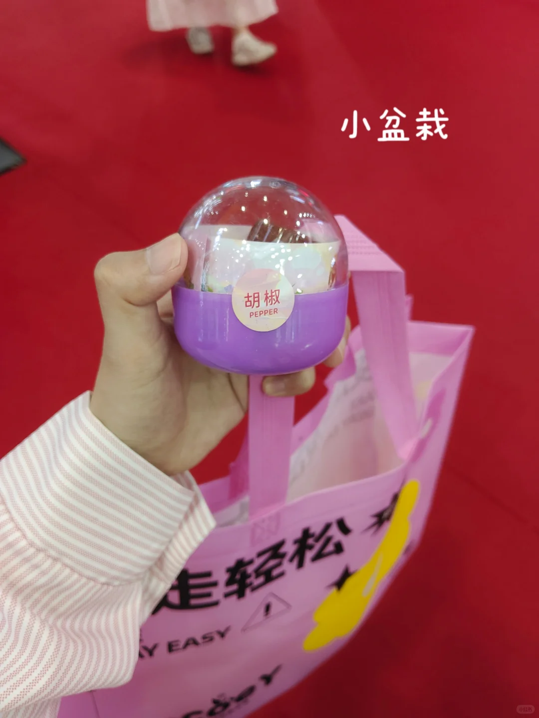 深圳玩具展暴走两小时搜刮到的战利品