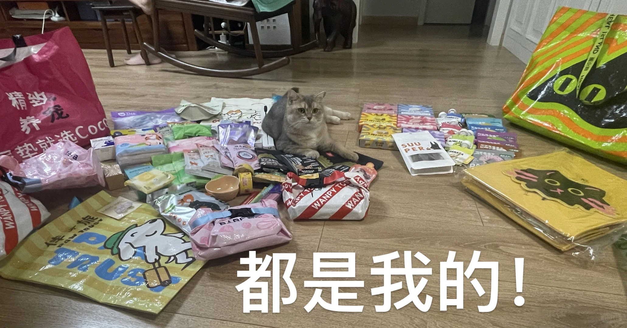 免费?2025亚宠展