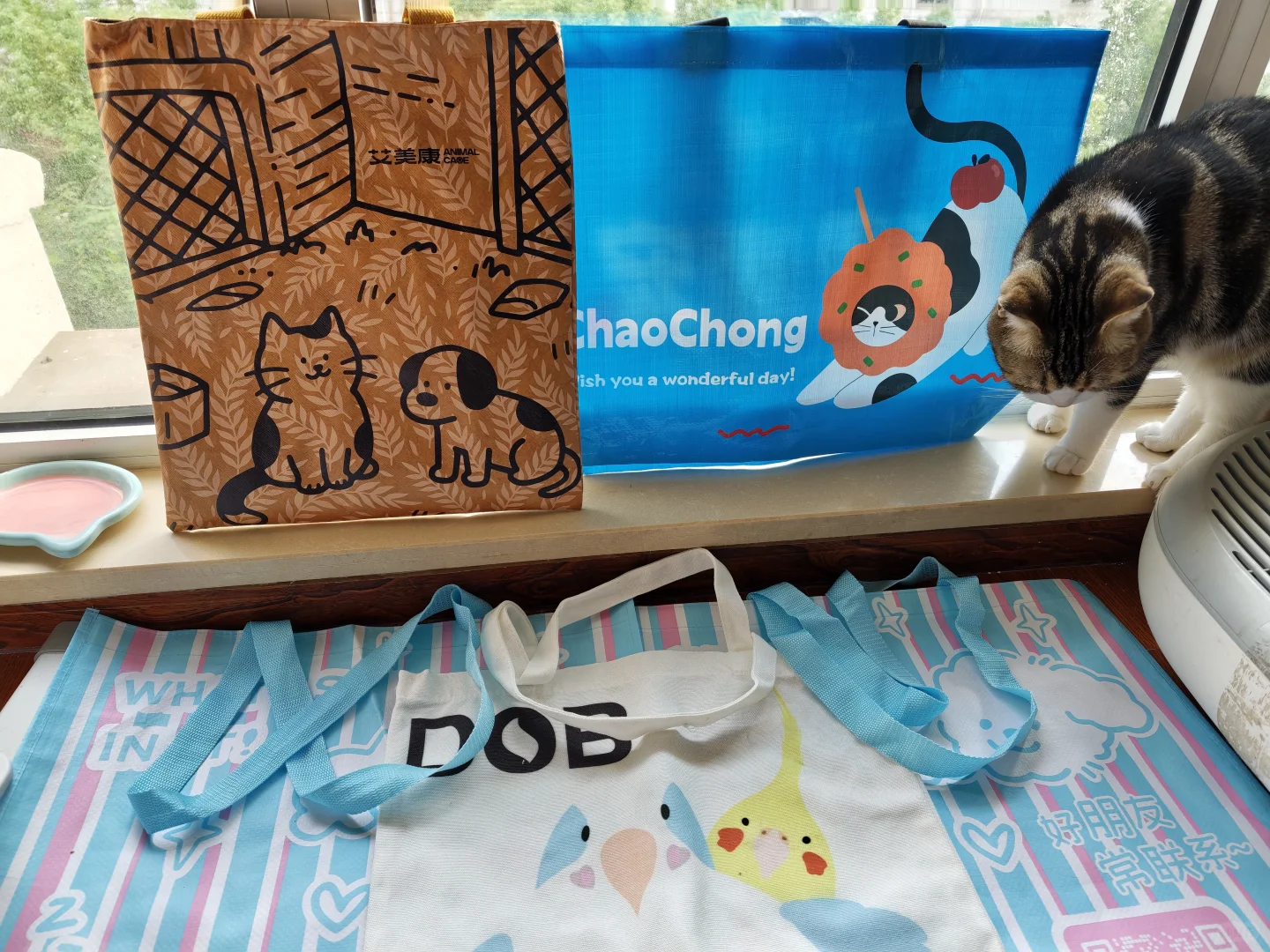 羊毛来了！华东宠物展（杭州）