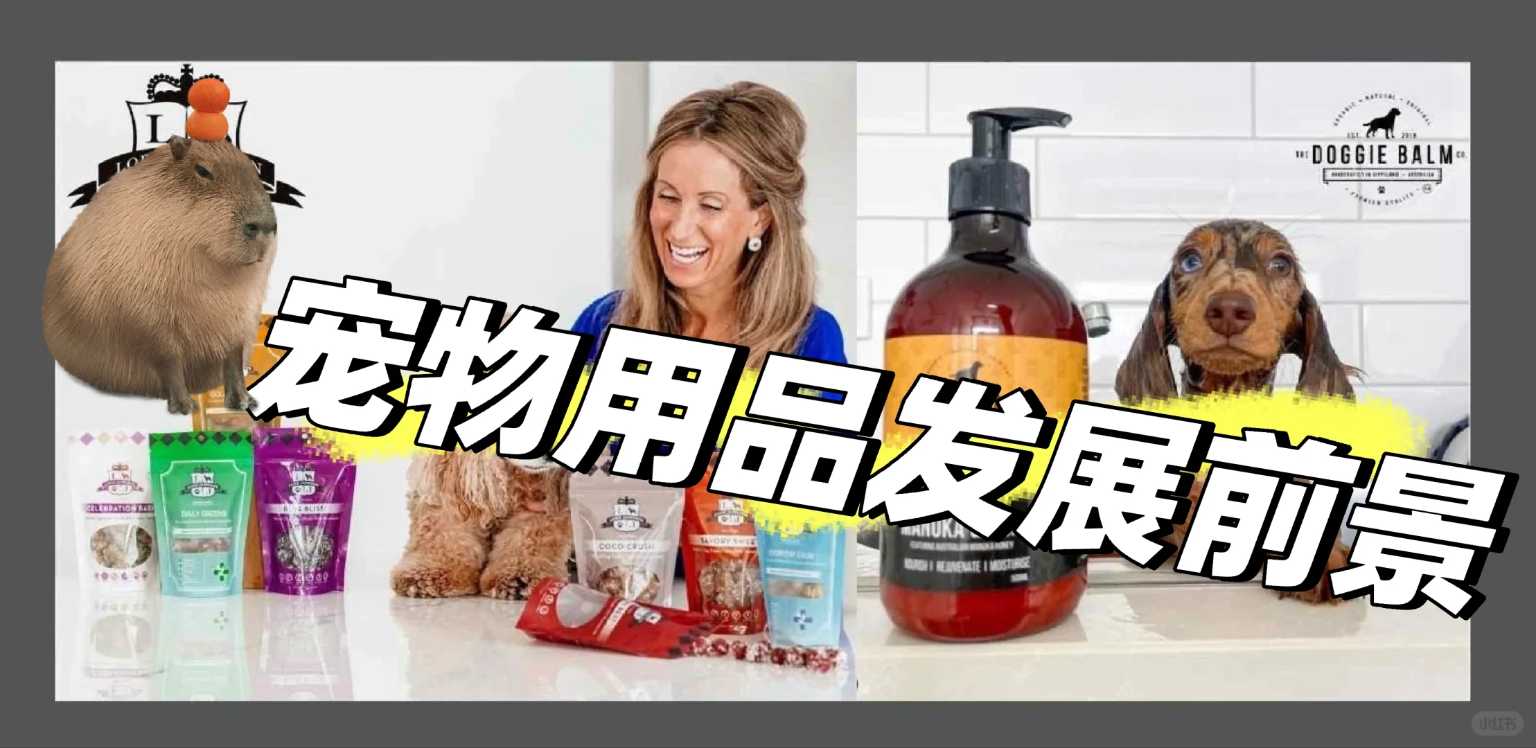 宠物用品发展前景