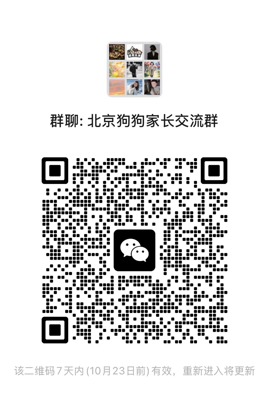 进群参与活动领【2025有宠生活展】门票啦✌️