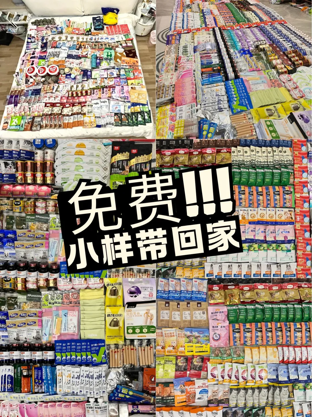 华东国际宠物展来啦?超强攻略@上海
