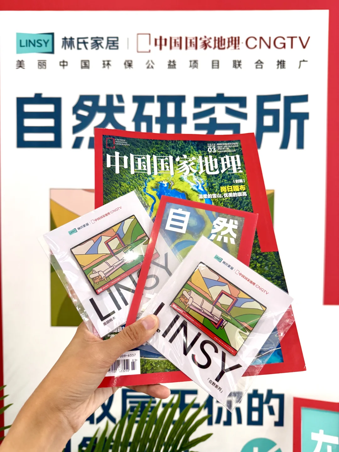 喜欢实木必逛！林氏家居联名展，一秒回到自然