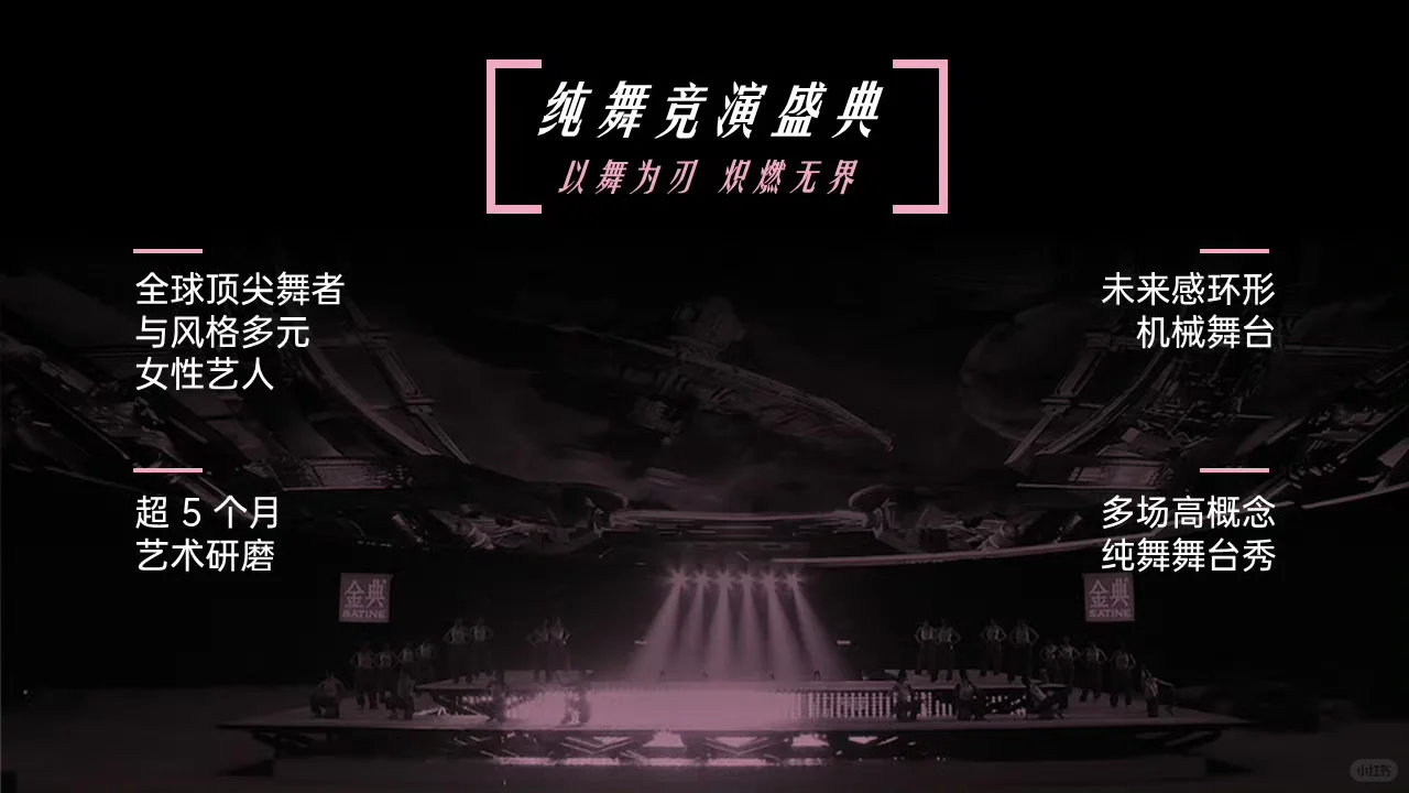 ?乘风2026招商方案