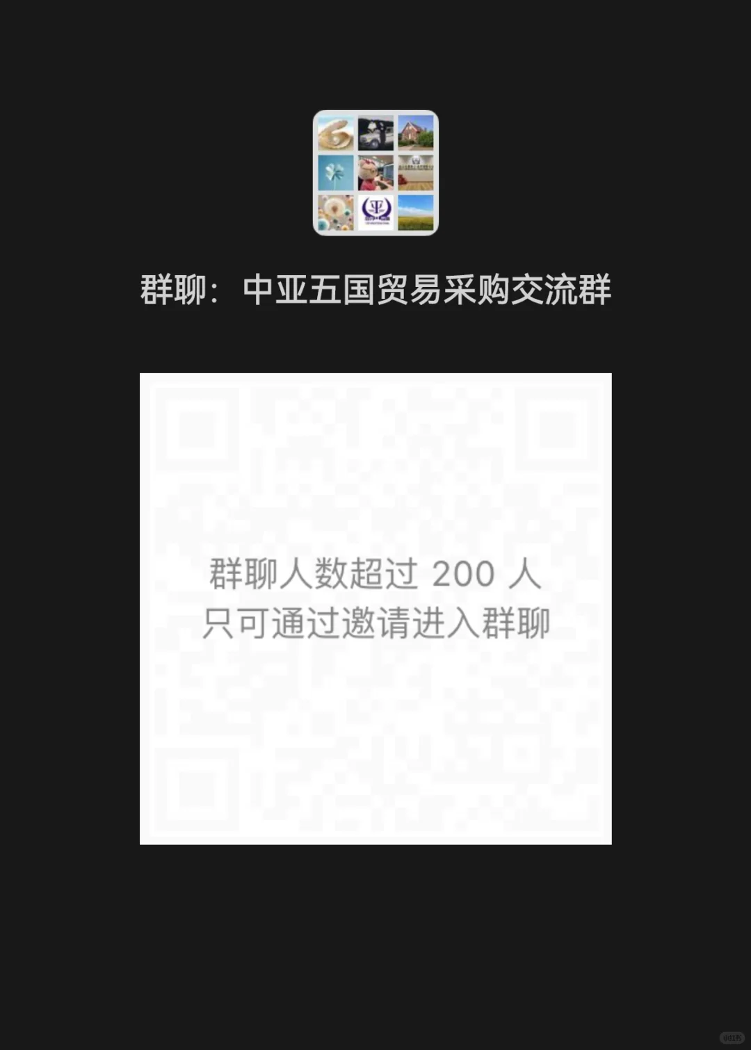 中亚五国贸易采购交流群，欢迎畅聊！