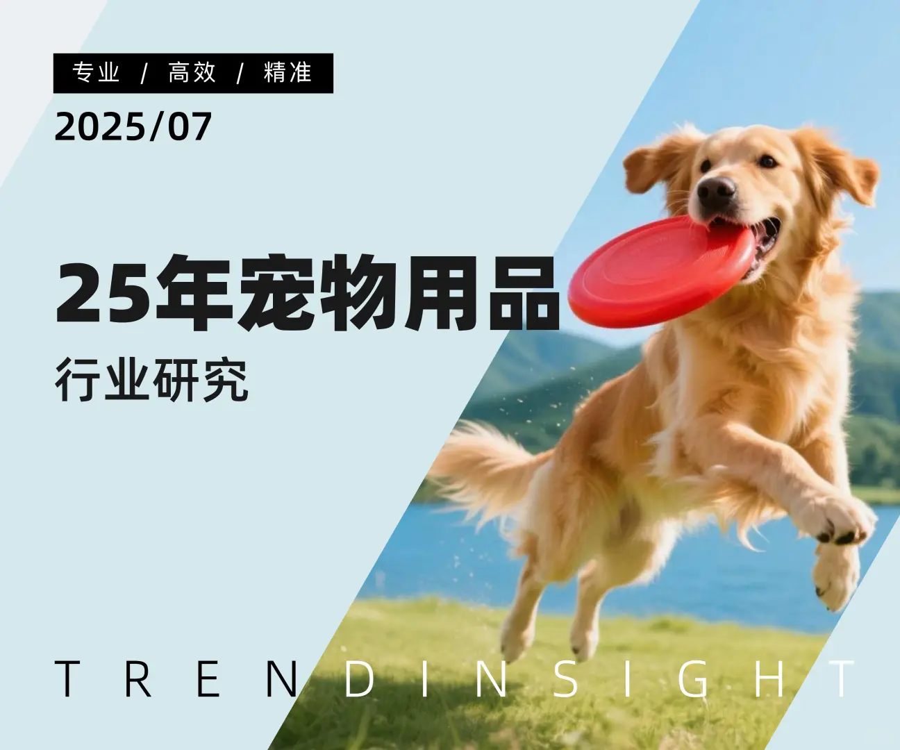 ?2025 宠物用品行业洞察?