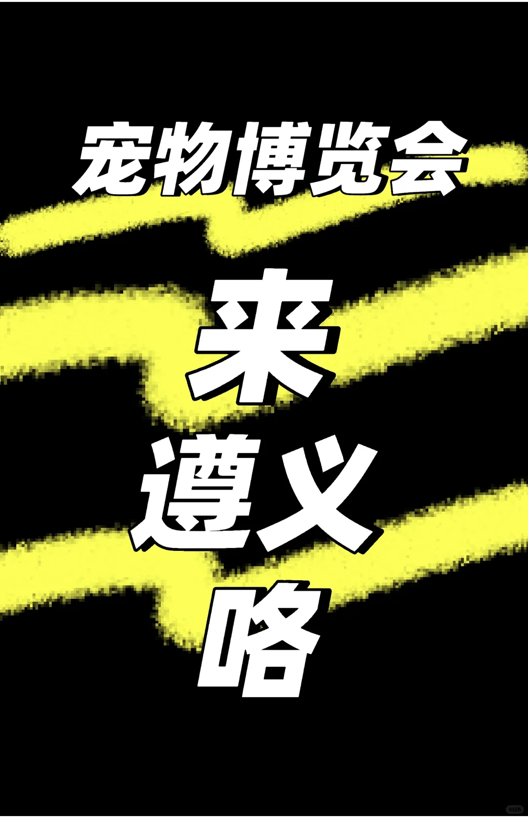 2025首届Q宠遵义宠物博览会