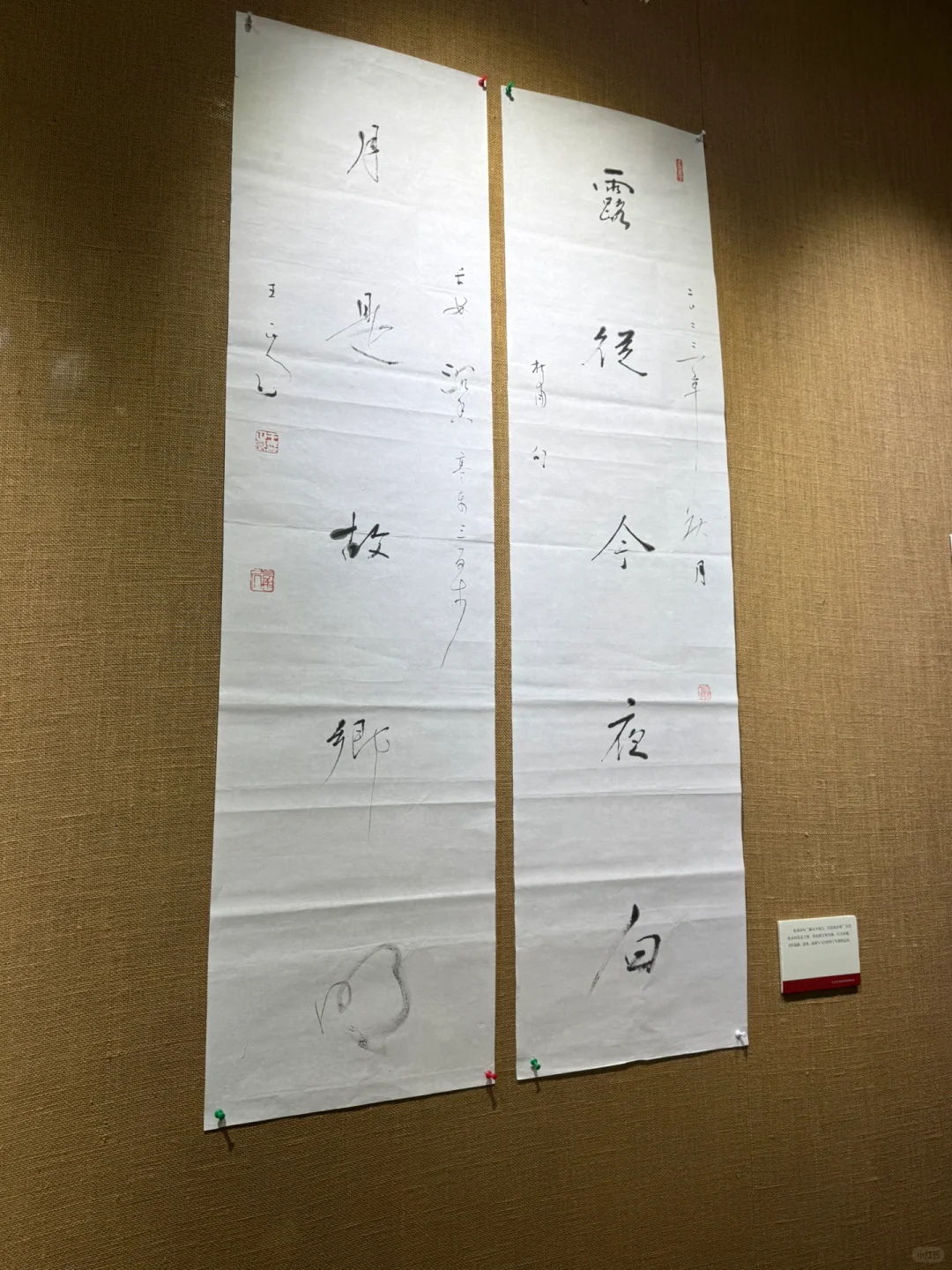 是什么样的书法展,让业余的我也看得入迷?