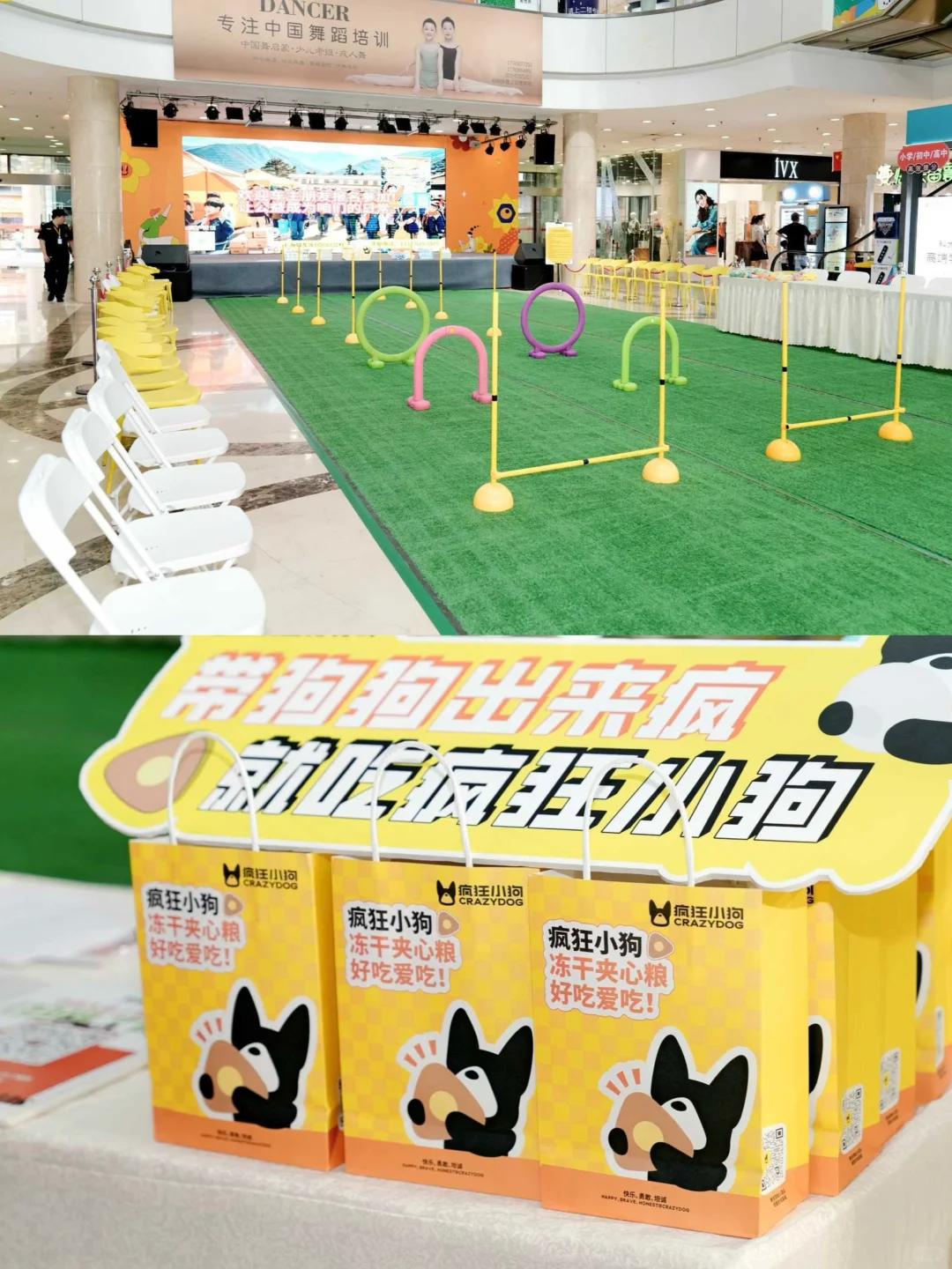 首届川南宠博会 泸州养宠人速来!!太好逛啦