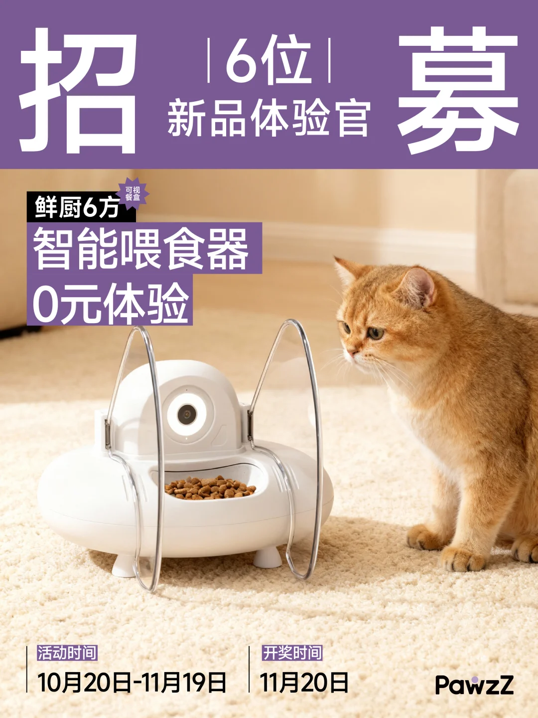 体验官招募?|智能喂食器新品免费送~