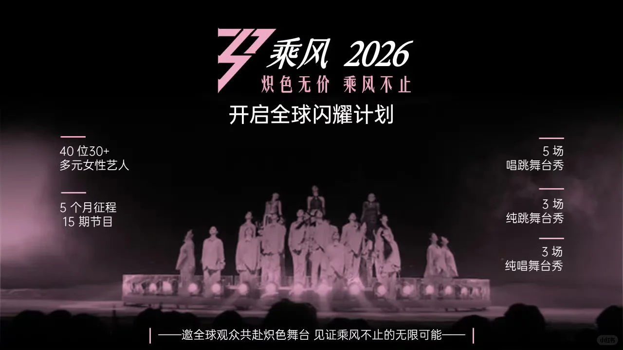 ?乘风2026招商方案
