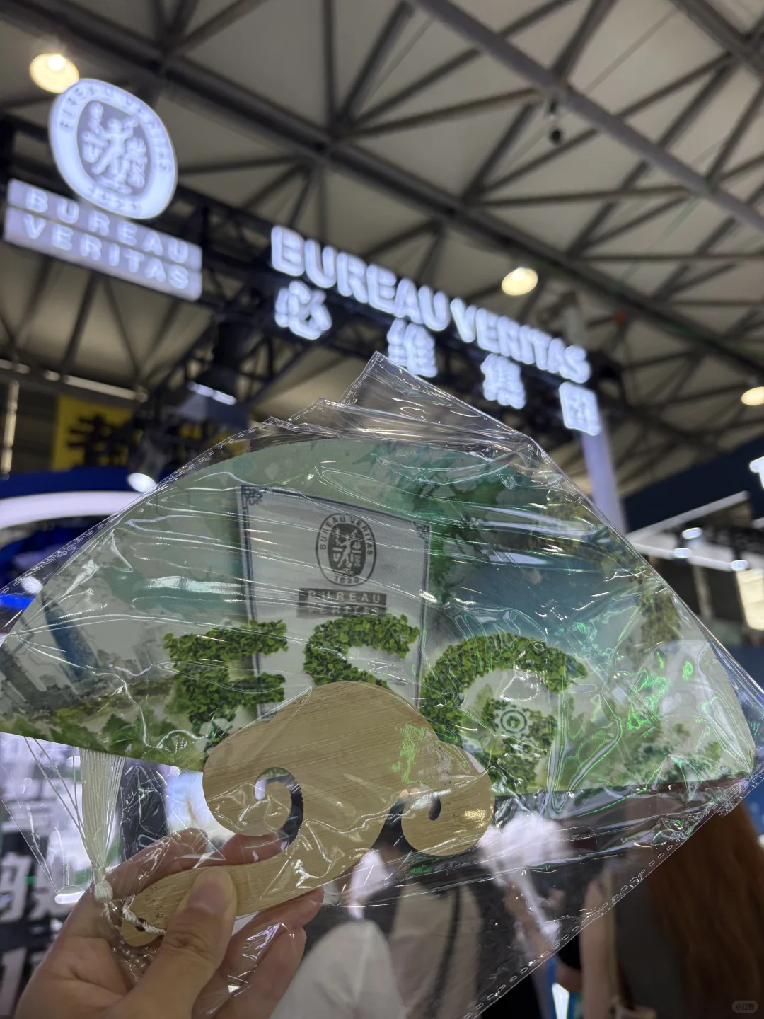 碳中和羊毛攻略