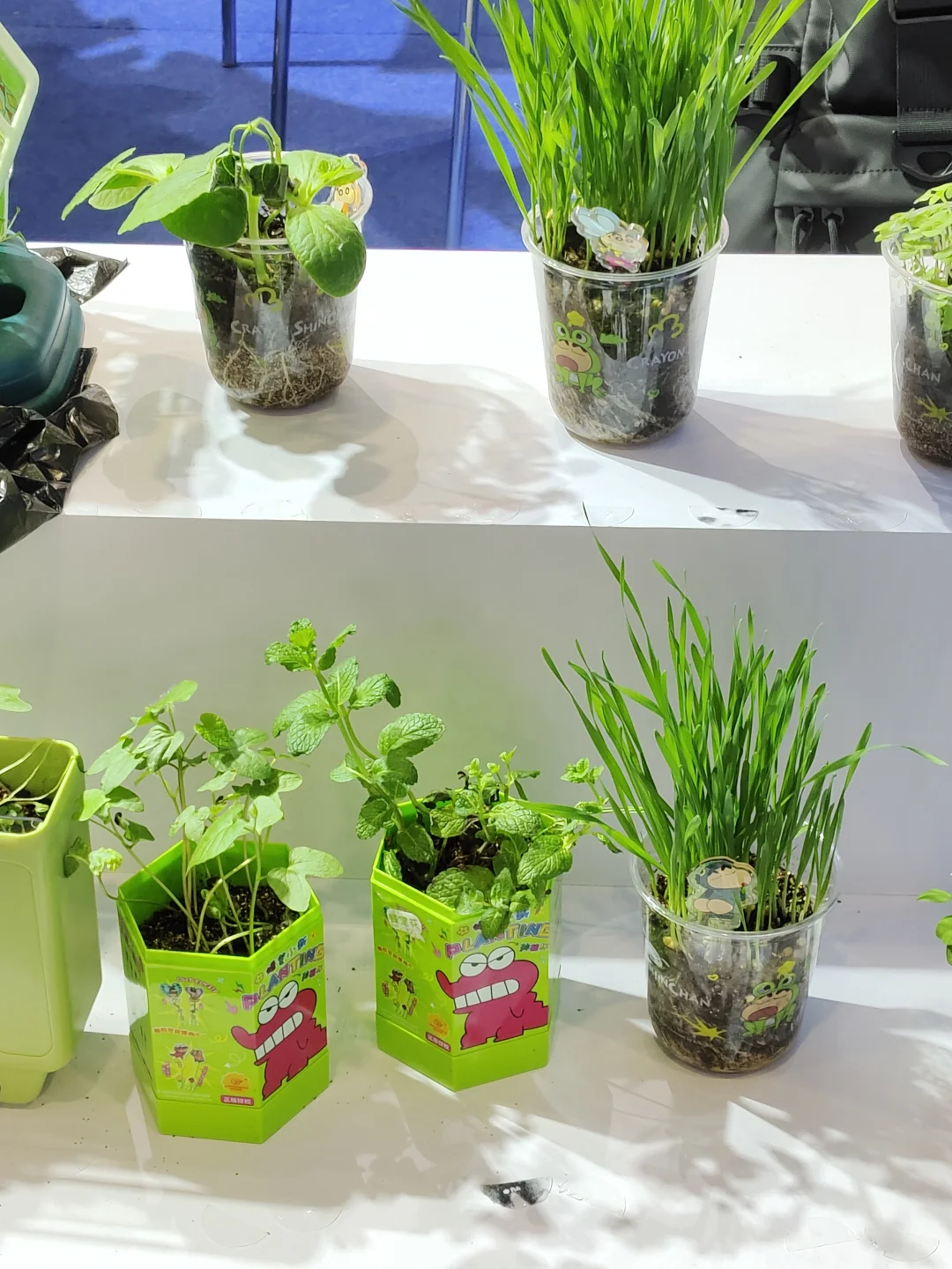 深圳玩具展暴走两小时搜刮到的战利品