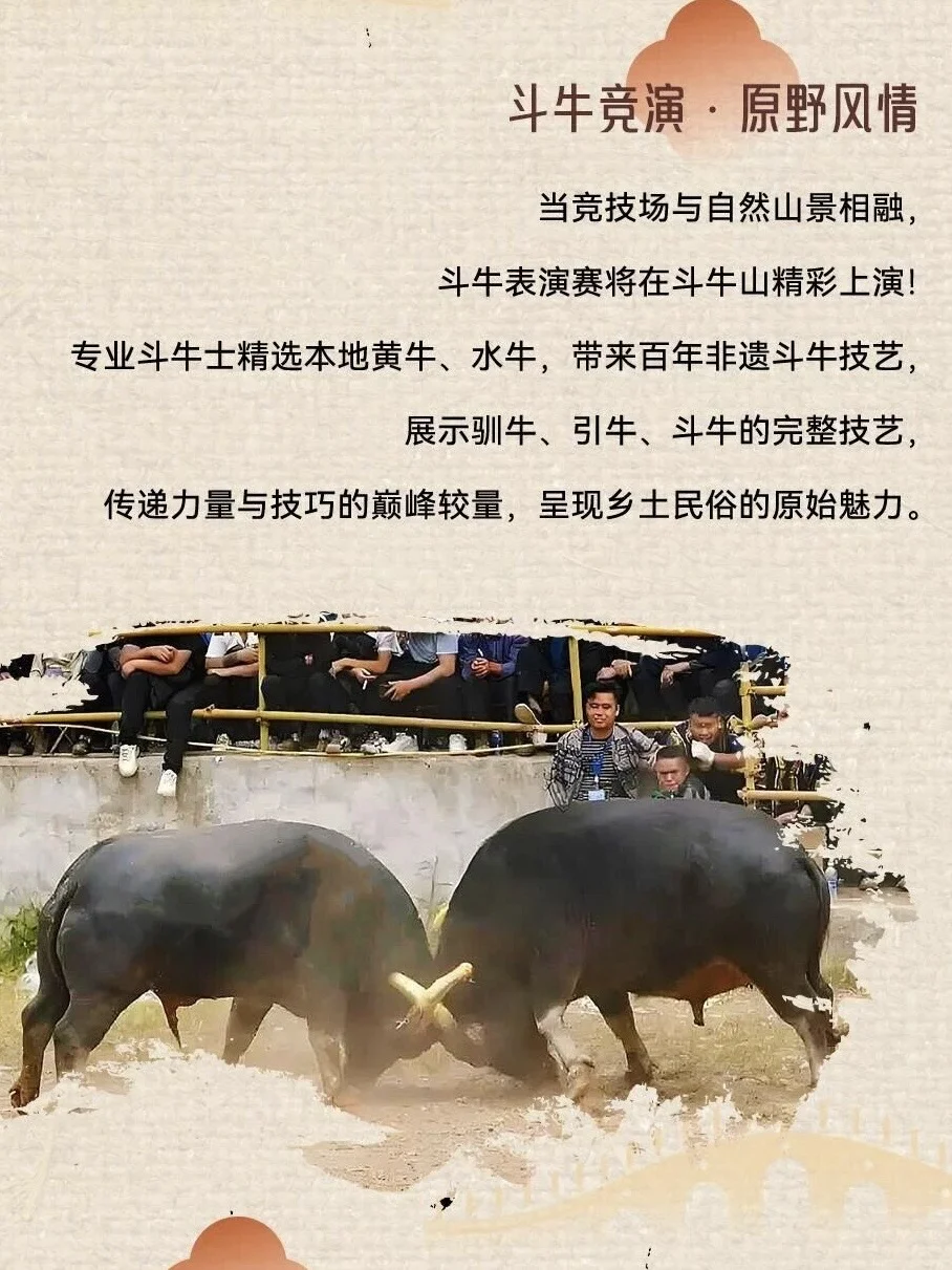 先收藏!一条笔记带你体验义乌版“重阳奇妙游