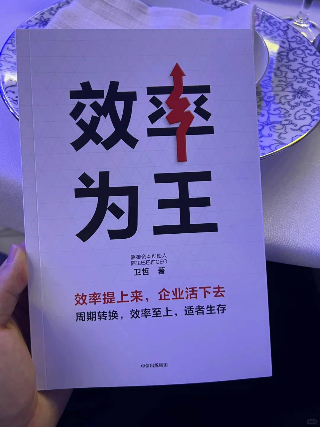 嘉御资本投资人年会