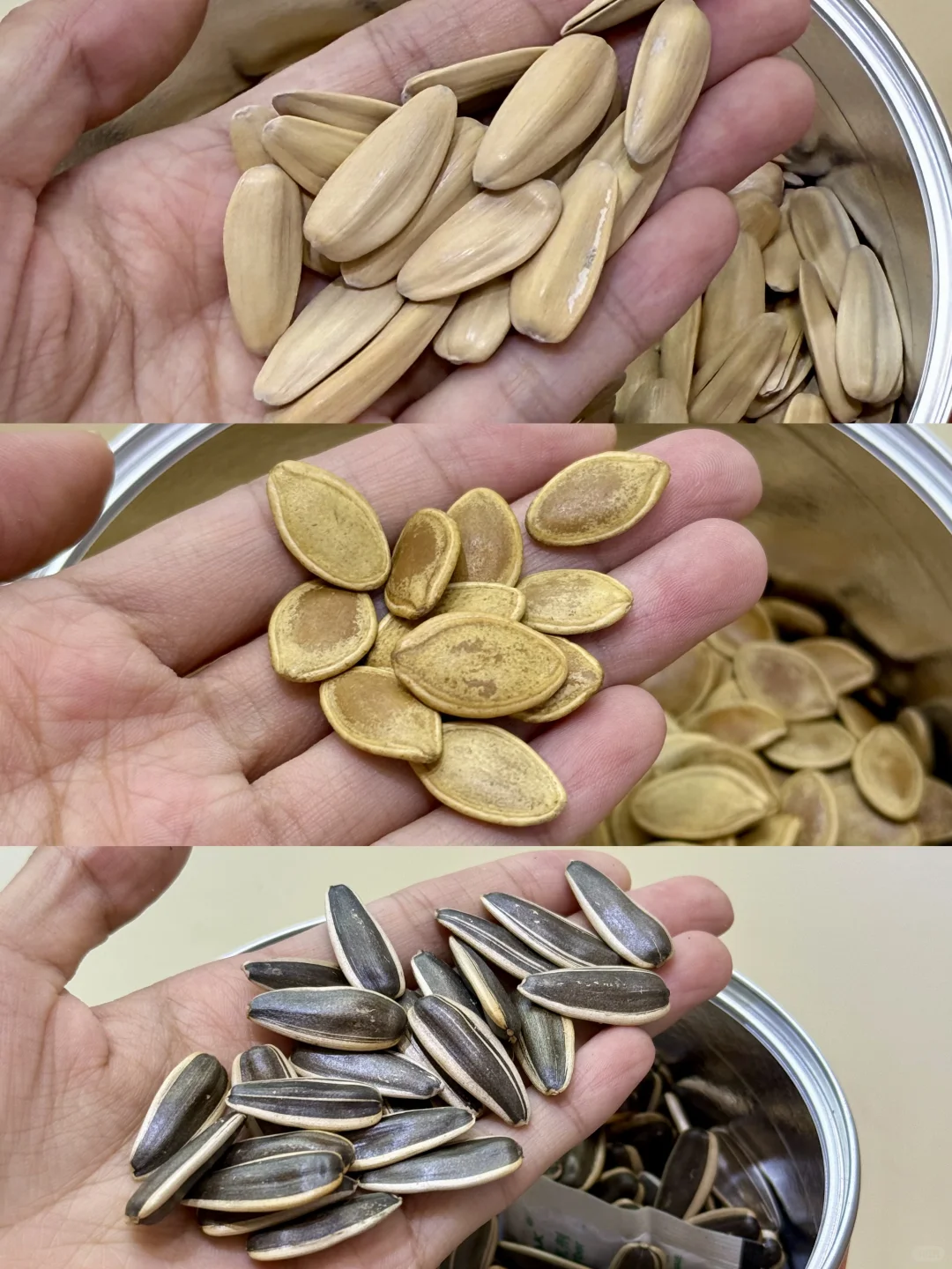 深圳这个展免费逛！我的胃和口袋都装不下了