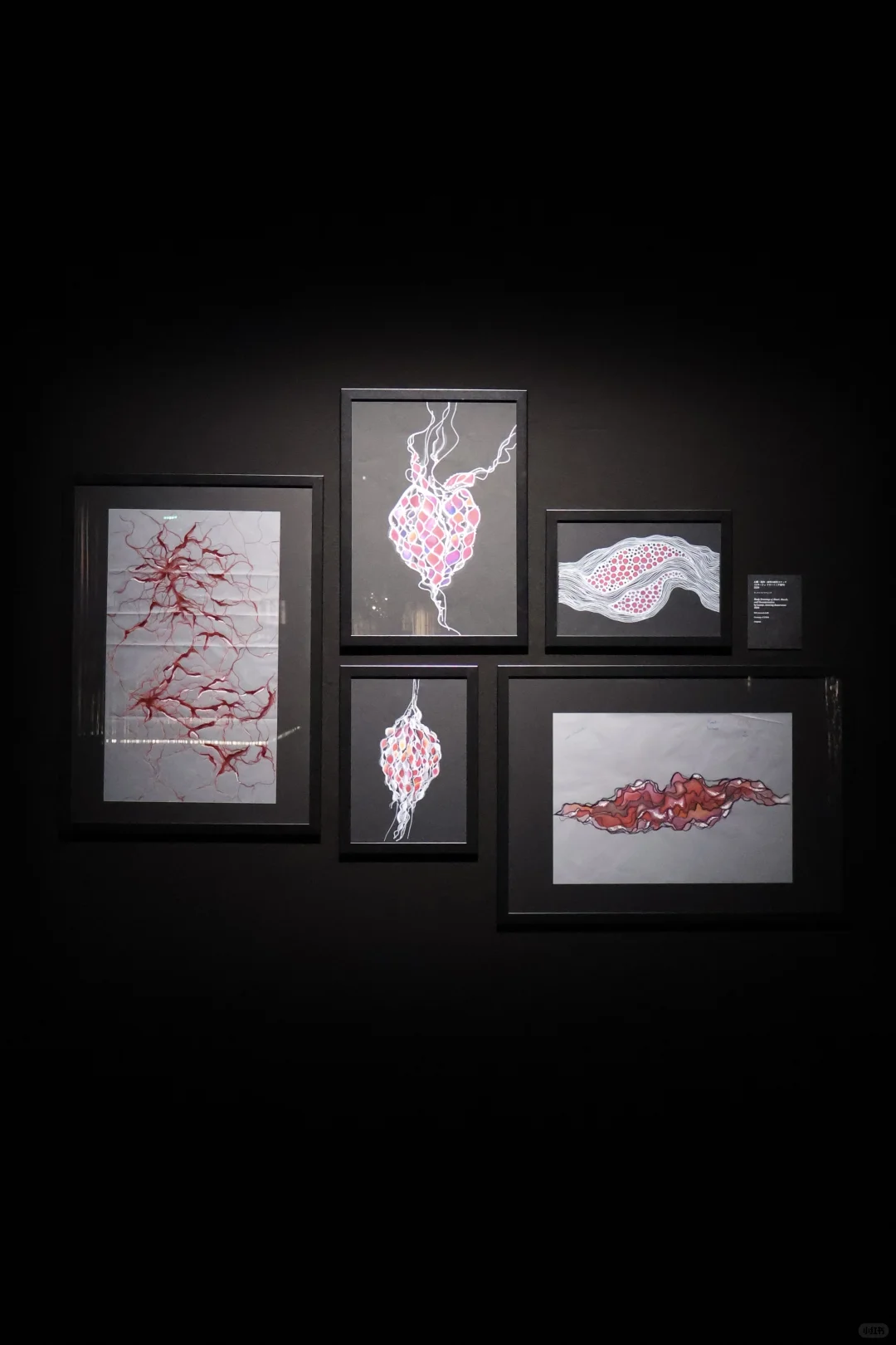 ??香奈儿免费展|太喜欢这两组作品了