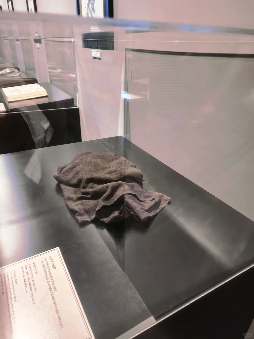 ????️ 进击的巨人展