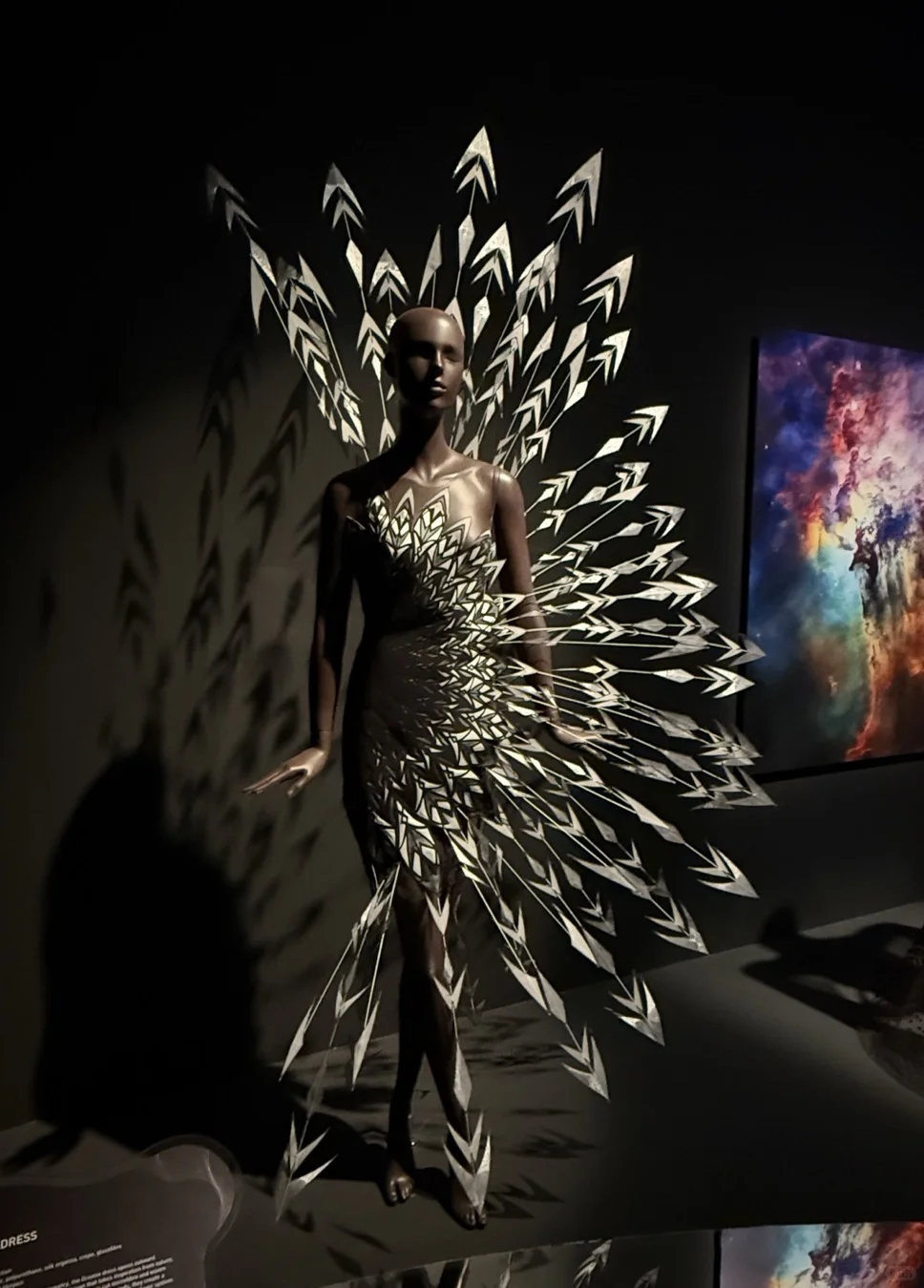 新加坡看展/ Iris van Herpen