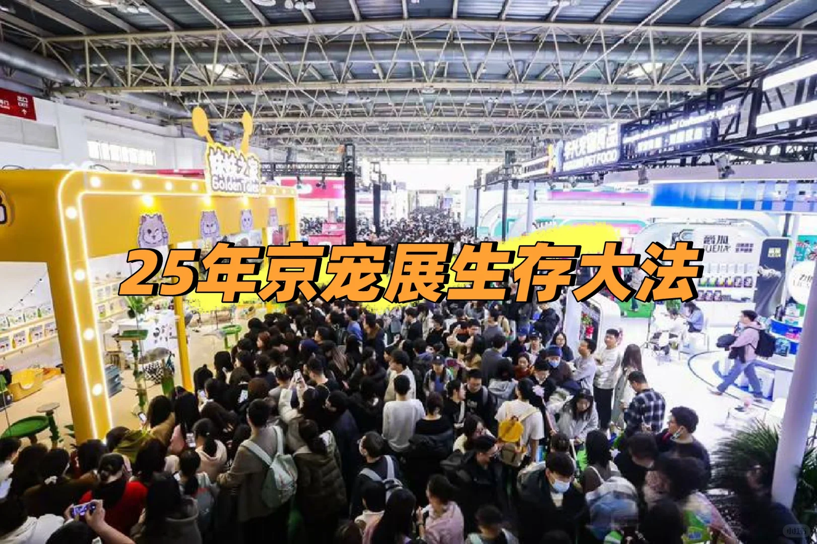 ⚠️ 紧急提醒:今年的京宠展可以这样冲!