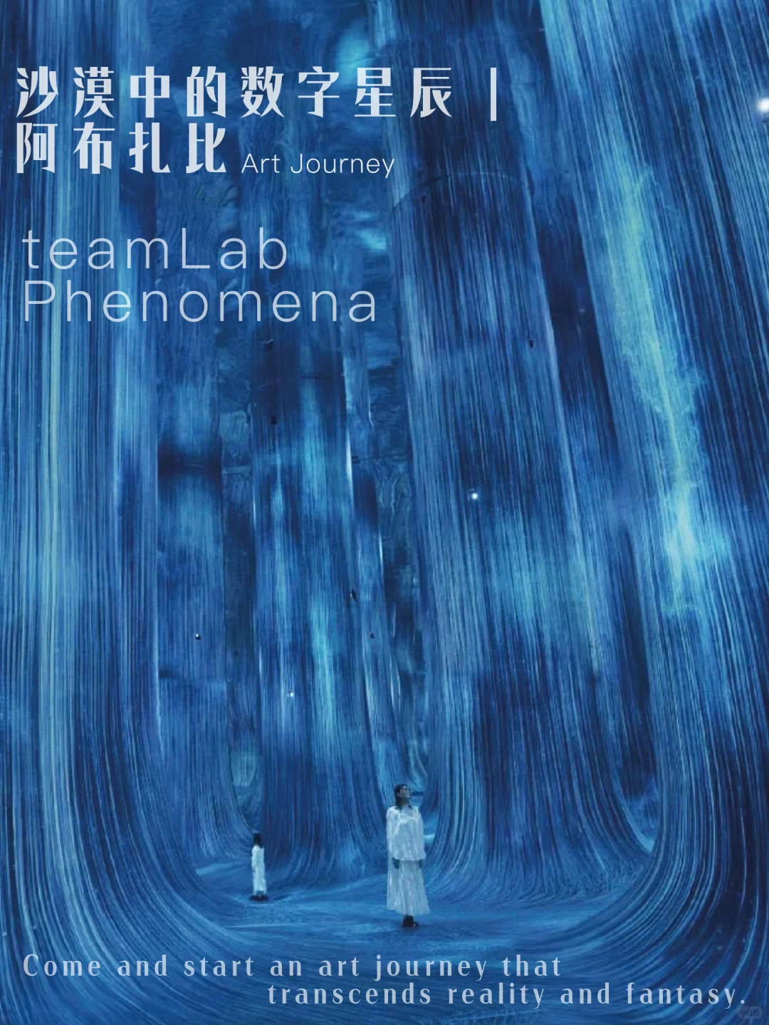 沙漠中的数字星辰 | teamLabPhenomena