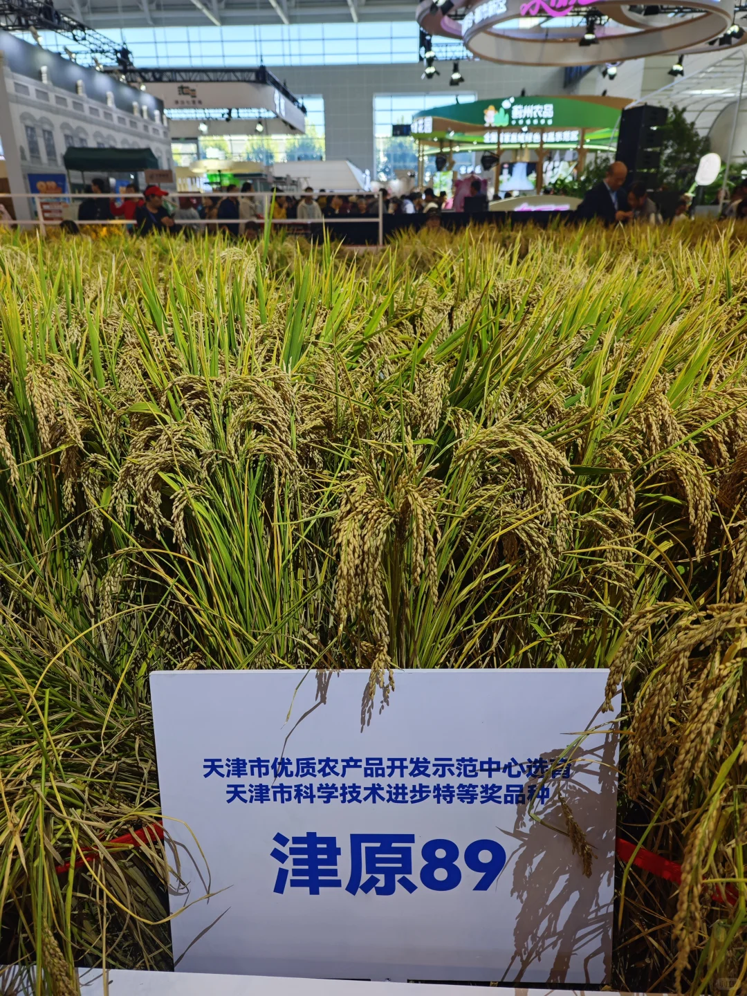 感觉今天天津一半人在国展