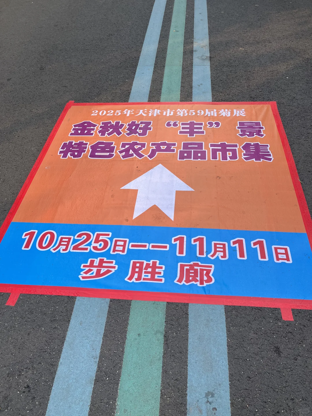 来看看水上公园菊花展,免费?
