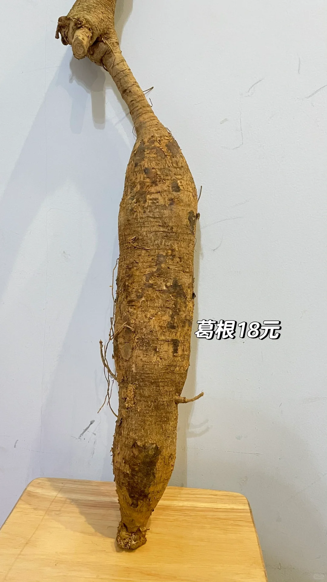 长沙农博会逛开心了