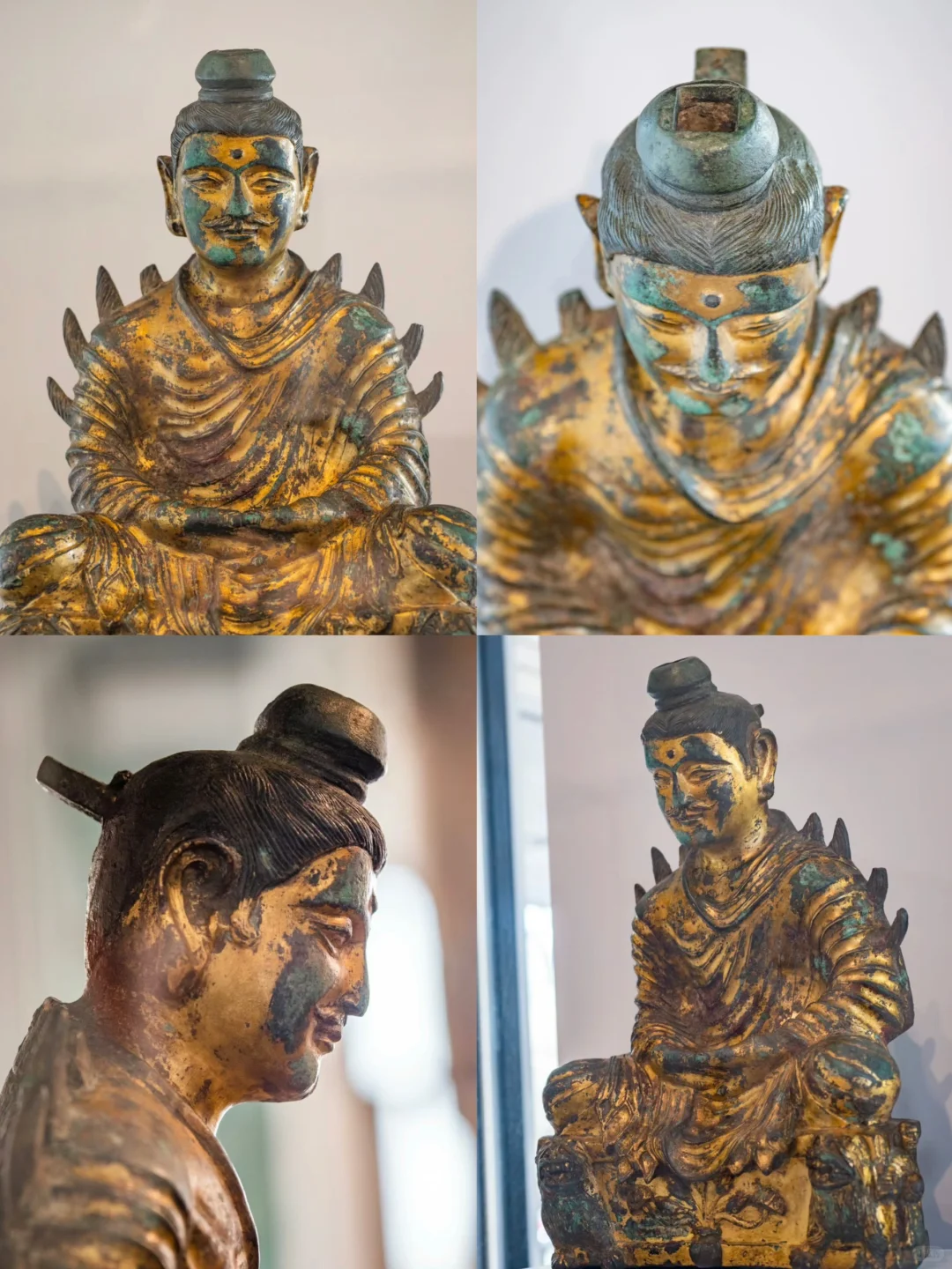 哈佛大学艺术博物馆参观指南