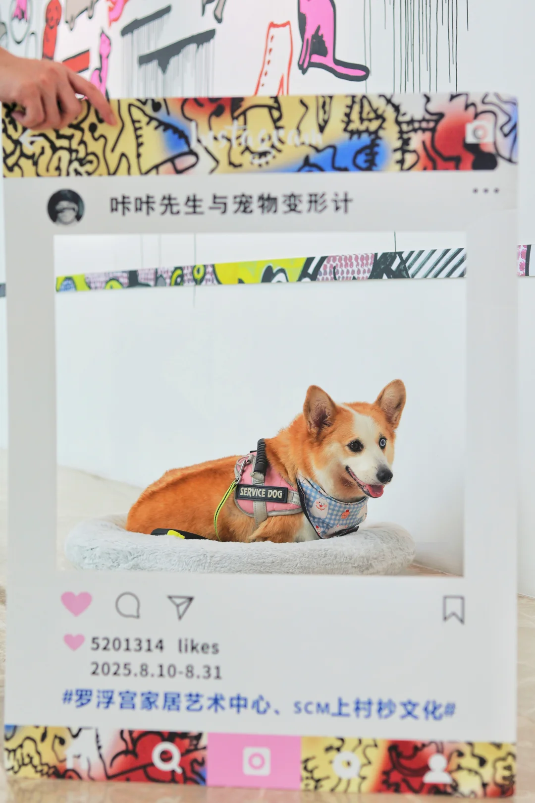 广州新展 充满“汪言汪语”的温暖展览