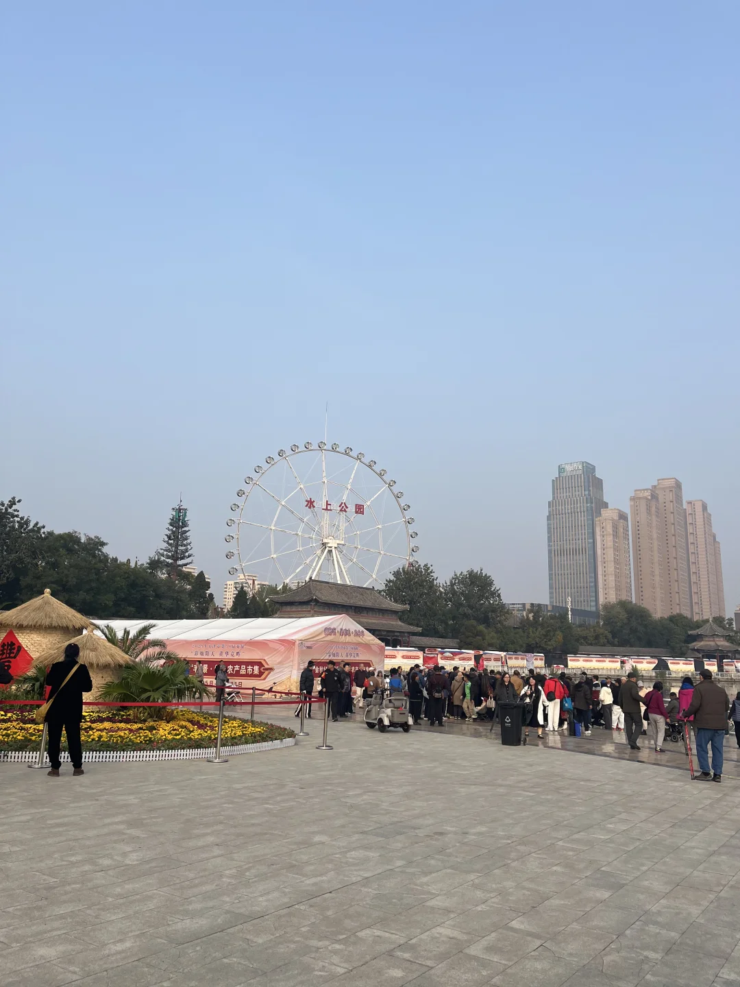 来看看水上公园菊花展,免费?