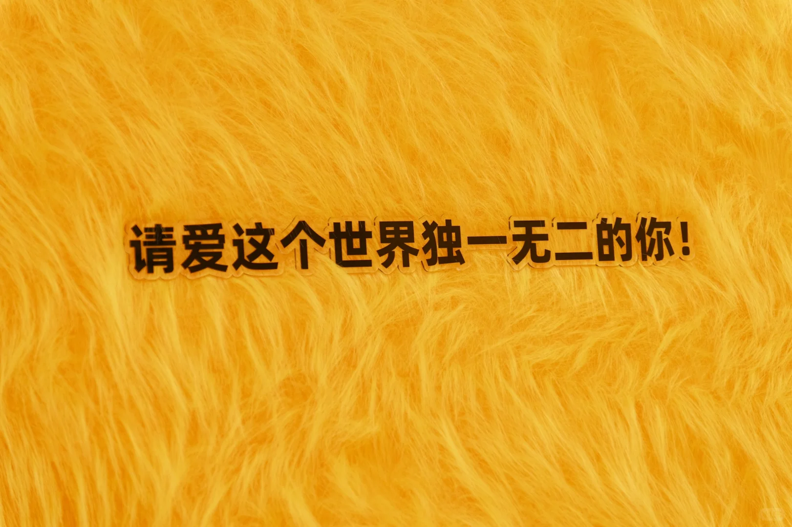 掉进彩色童话世界?BaoBao来了沉浸式治愈