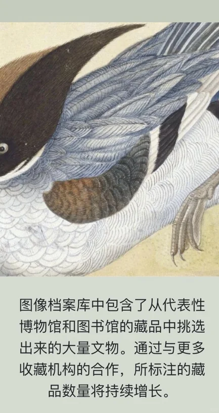 「中国图像志索引典」上新啦！